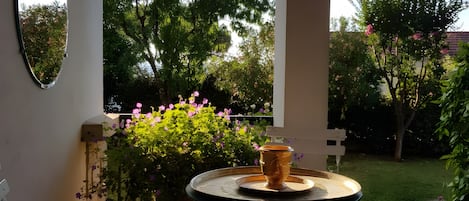 Terraza o patio
