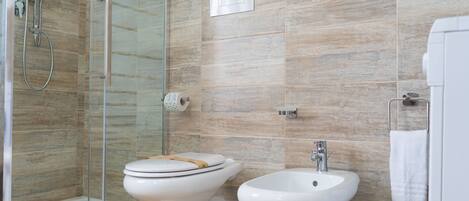 Shower, hair dryer, bidet, towels