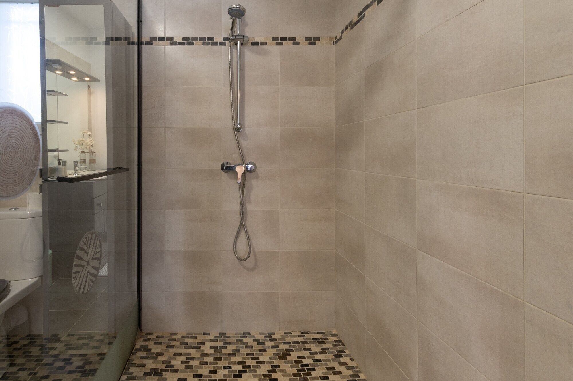 Shower, hair dryer, towels