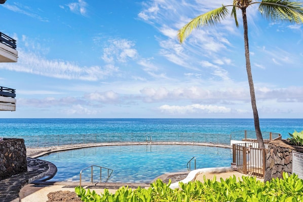 Ein Pool mit Blick auf den Ozean, eine Palme und eine Steinmauer.