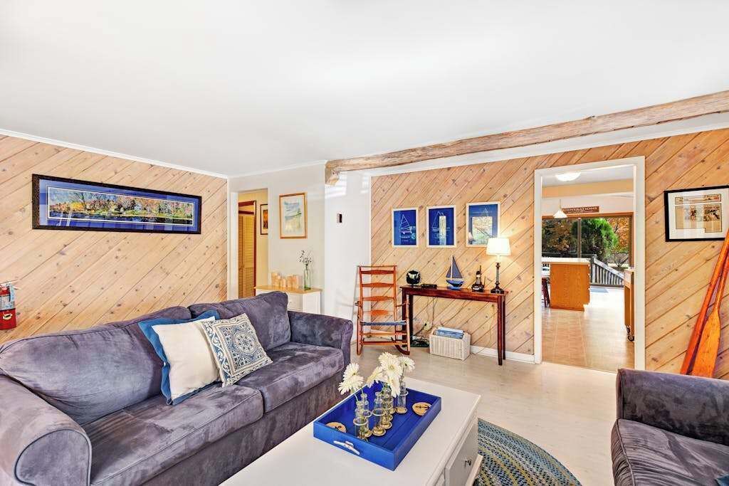 TV, fireplace, DVD player