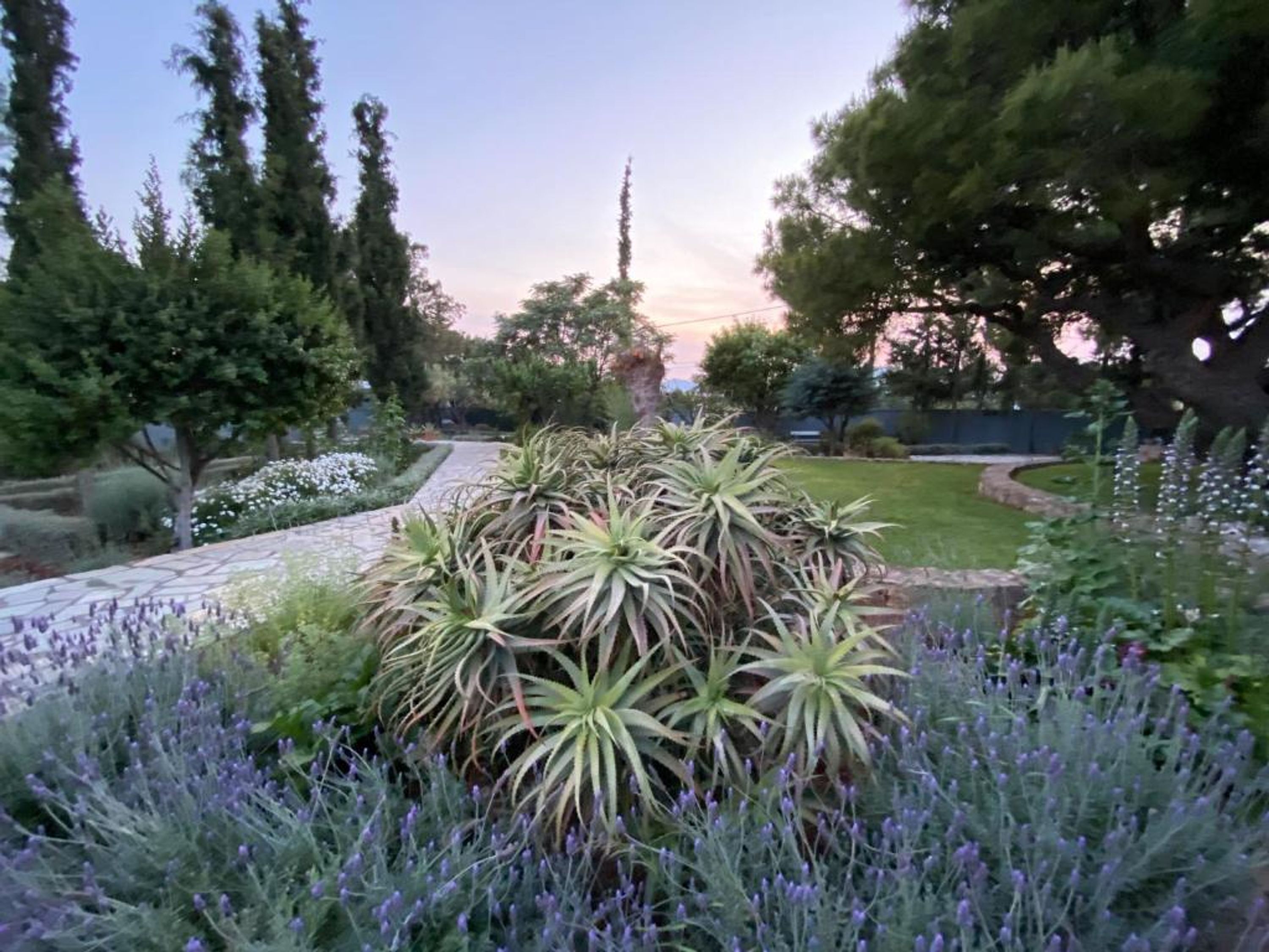 A garden with a variety of plants and a stone pathway.