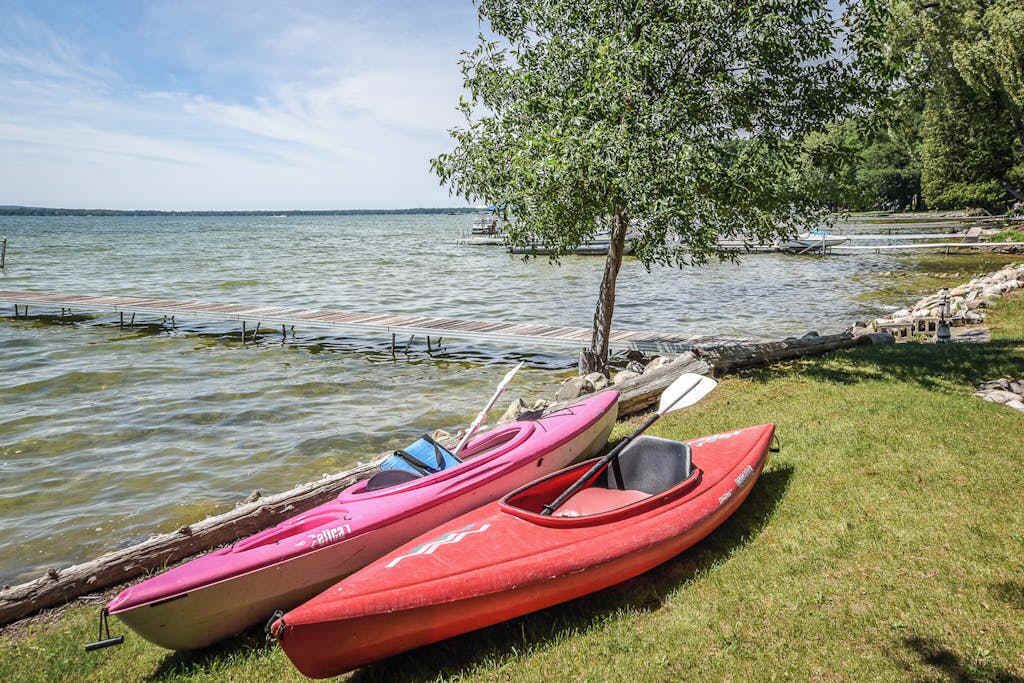 Un lago tranquilo con kayaks y un árbol en la orilla.