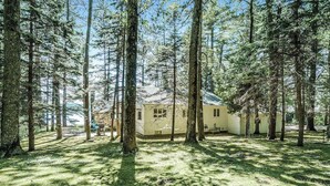 Uma casa rodeada por árvores altas numa área arborizada.