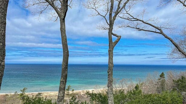 Une plage avec des arbres au premier plan et une vue sur l’océan.