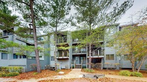 Un edificio residencial de varios pisos con balcones, rodeado de árboles y un camino pavimentado.