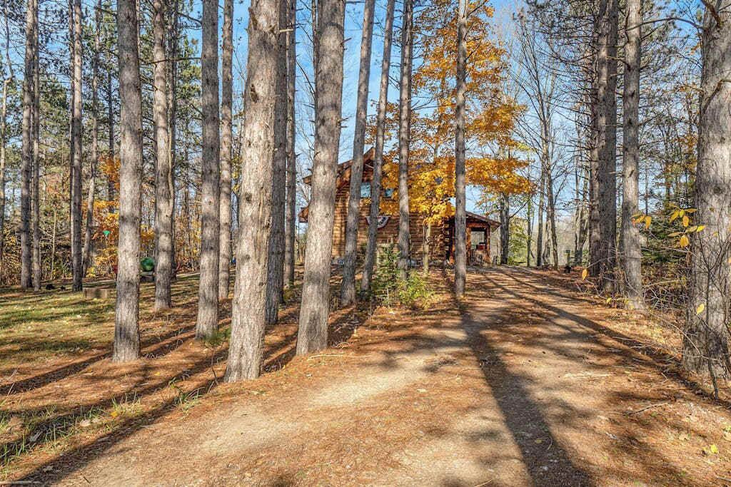 Metsäinen alue, jonka läpi kulkee sorapolkua, joka johtaa mökille.