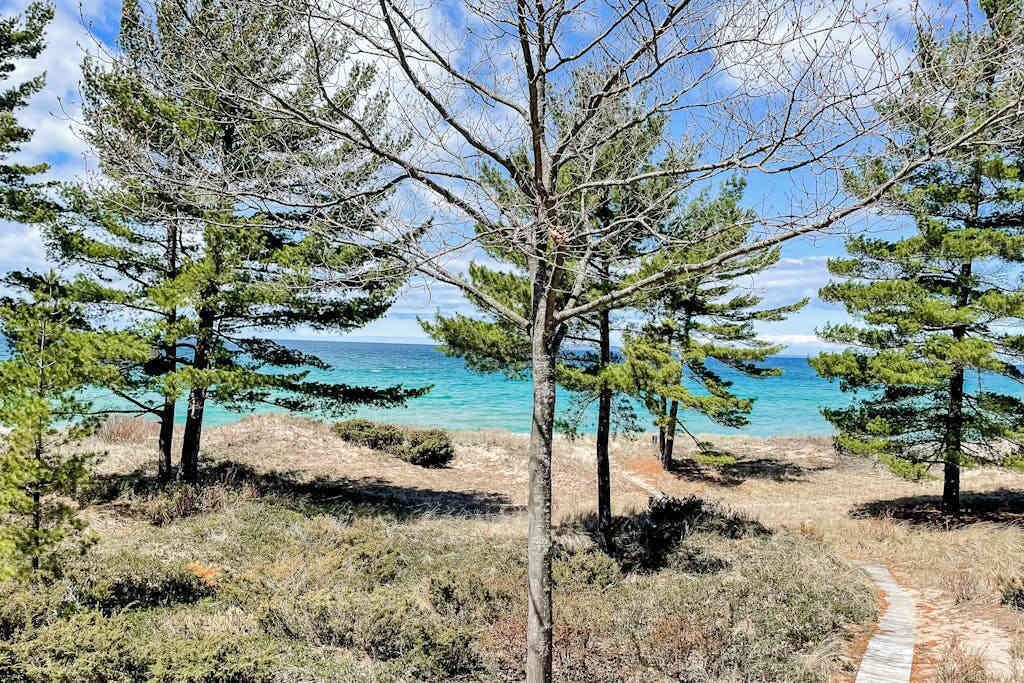 Eine Küstenlandschaft mit Bäumen, blauem Himmel und einem Pfad, der zum Strand führt.