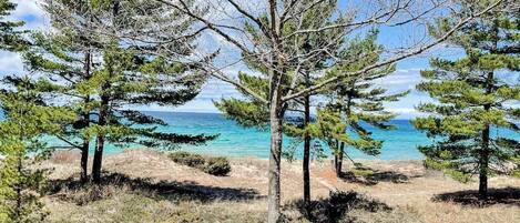 Eine Küstenlandschaft mit Bäumen, blauem Himmel und einem Pfad, der zum Strand führt.