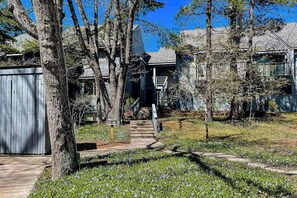Exterior - Waterfront condo near skiing with beach access, on-site golf & fireplace (Glen Arbor)