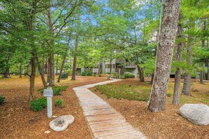 A wooden pathway leading to a building surrounded by trees. - Lake-view condo with private beach, fireplace, deck, washer/dryer, streaming (Glen Arbor)