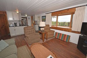 TV - Beachfront cottage with Lake Michigan views, fireplace, gas grill, firepit, deck (Glen Arbor)