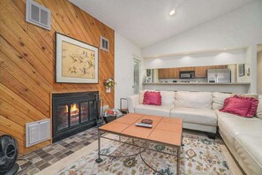 TV, fireplace, DVD player, offices - Secluded home with three kitchens, vaulted ceilings, washer/dryer, & patios (Glen Arbor)