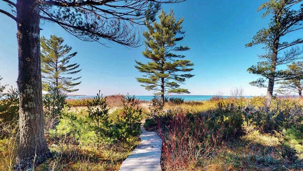A pathway leading to a beach with trees and shrubs. - Beachfront townhouse & loft near the water with firepit, deck & cable (Glen Arbor)