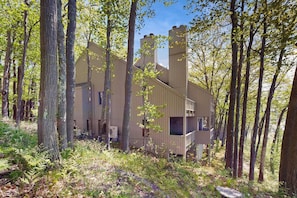 Une cabane rustique, entourée de grands arbres, au cœur d’une forêt.