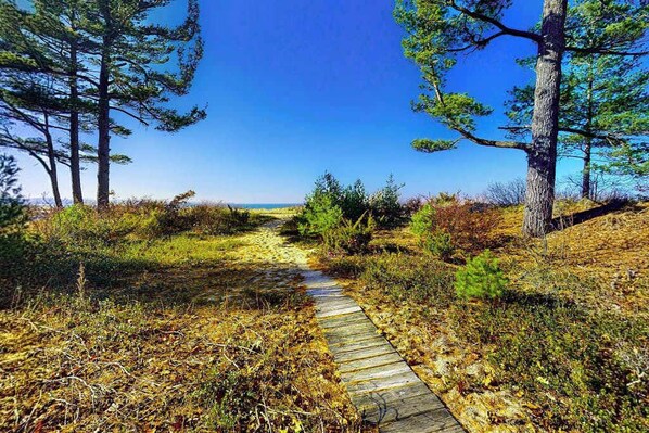 A pathway leading through a natural landscape with trees and shrubs. - Beachfront condo in Glen Arbor with deck, fireplace, Lake Michigan views & W/D (Glen Arbor)