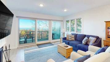 TV, fireplace, DVD player