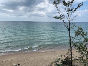 Ein Strand mit Blick auf den Ozean und einem Baum im Vordergrund.