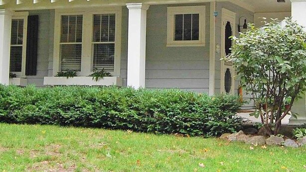 Ein zweistöckiges Haus mit Veranda, kleinem Garten und Baum davor.
