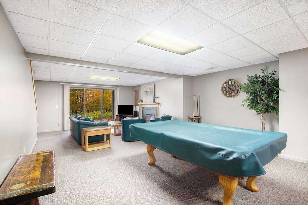 A room with a massage table, a television, a sofa, and a plant.