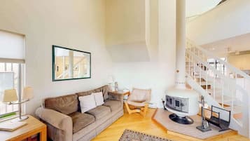 TV, fireplace, DVD player