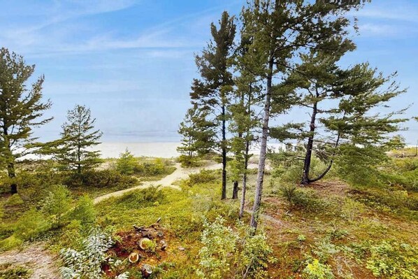 A natural landscape with trees, a dirt path, and a body of water in the distance. - Beautiful beachfront townhouse with deck, water views, community firepit (Glen Arbor)