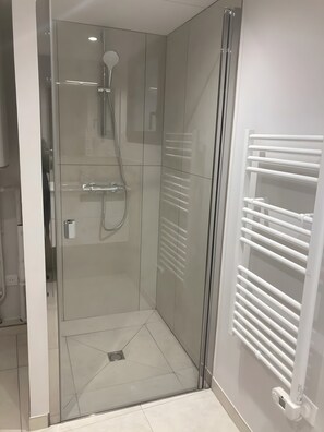 Shower, hair dryer, towels