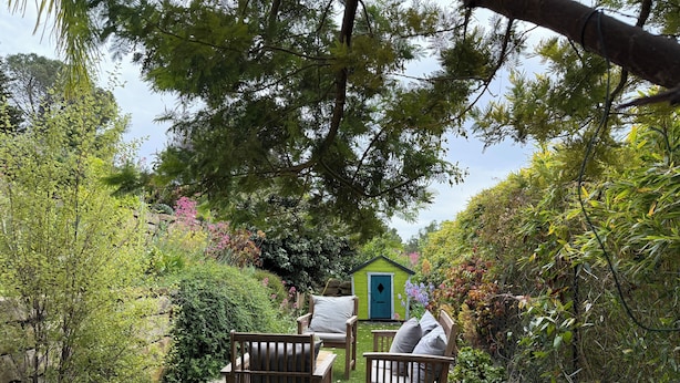 Um jardim com um banco de madeira, um pequeno galpão verde e vegetação exuberante.