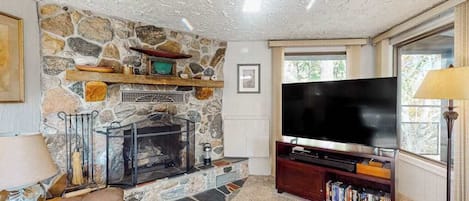 Televisión, chimenea y reproductor de DVD