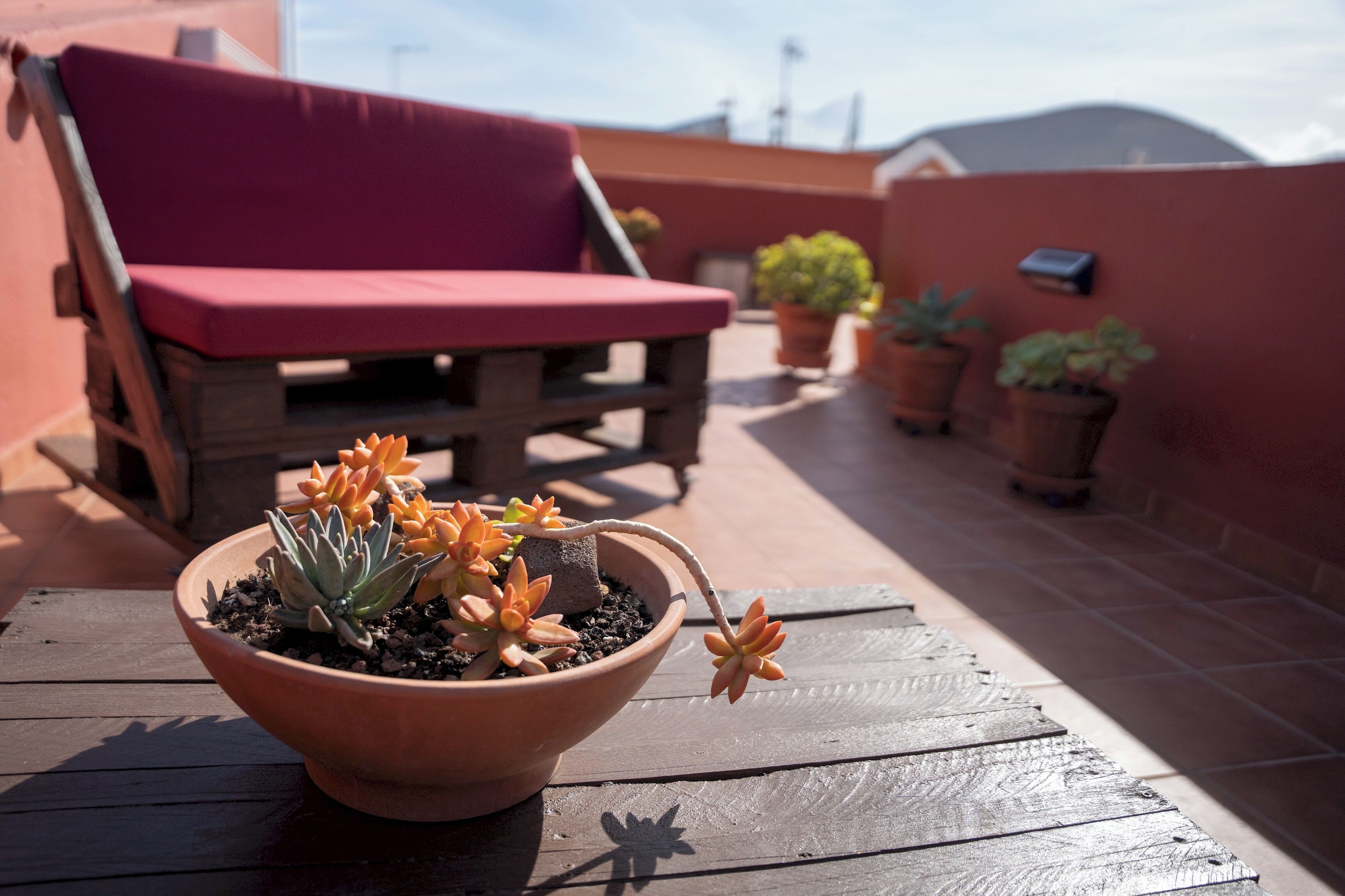 Terras