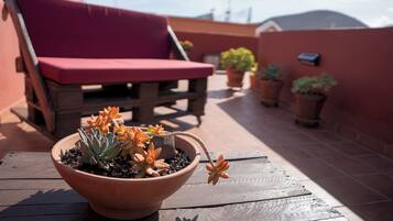 Terras