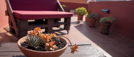 Una maceta de terracota con suculentas sobre una mesa de madera, una silla con cojín rojo y plantas en macetas en una terraza en la azotea.