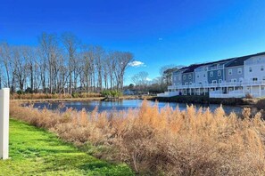 A riverside view with a row of white buildings, a grassy area, and leafless trees.