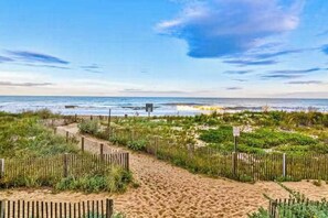 Ein Sandweg am Strand, der zum Meer führt, umgeben von Pflanzen und Holzzaunen.