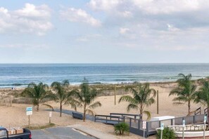 Une plage bordée de palmiers, une clôture en bois et une route menant à la plage.