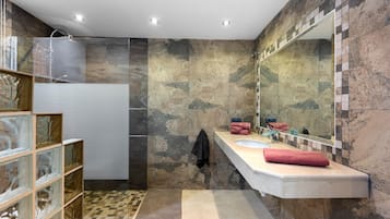 Shower, hair dryer, towels