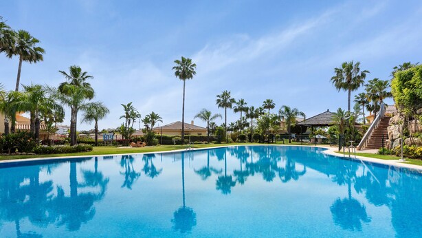 A clear blue swimming pool surrounded by palm trees and a building with a tiled roof.