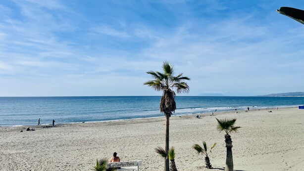 A beach with palm trees, a bench, and the ocean in the background. - Apartamento Faro 77 by At Home Costa del Sol (Torrox)