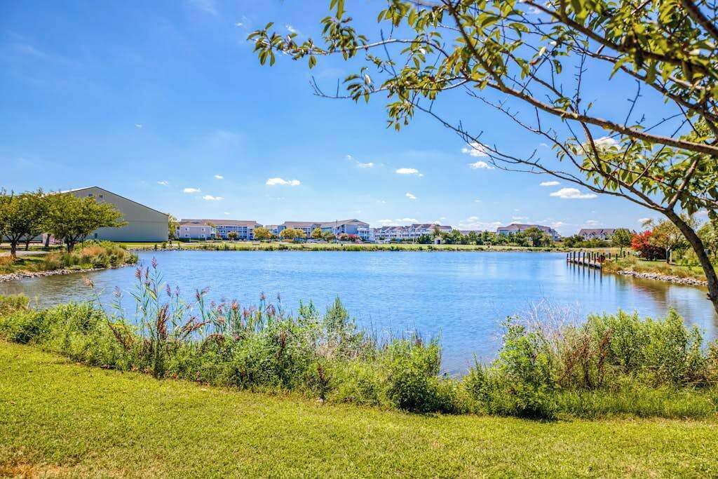 Ein See mit einer grasbewachsenen Vordergrund und Gebäuden im Hintergrund.