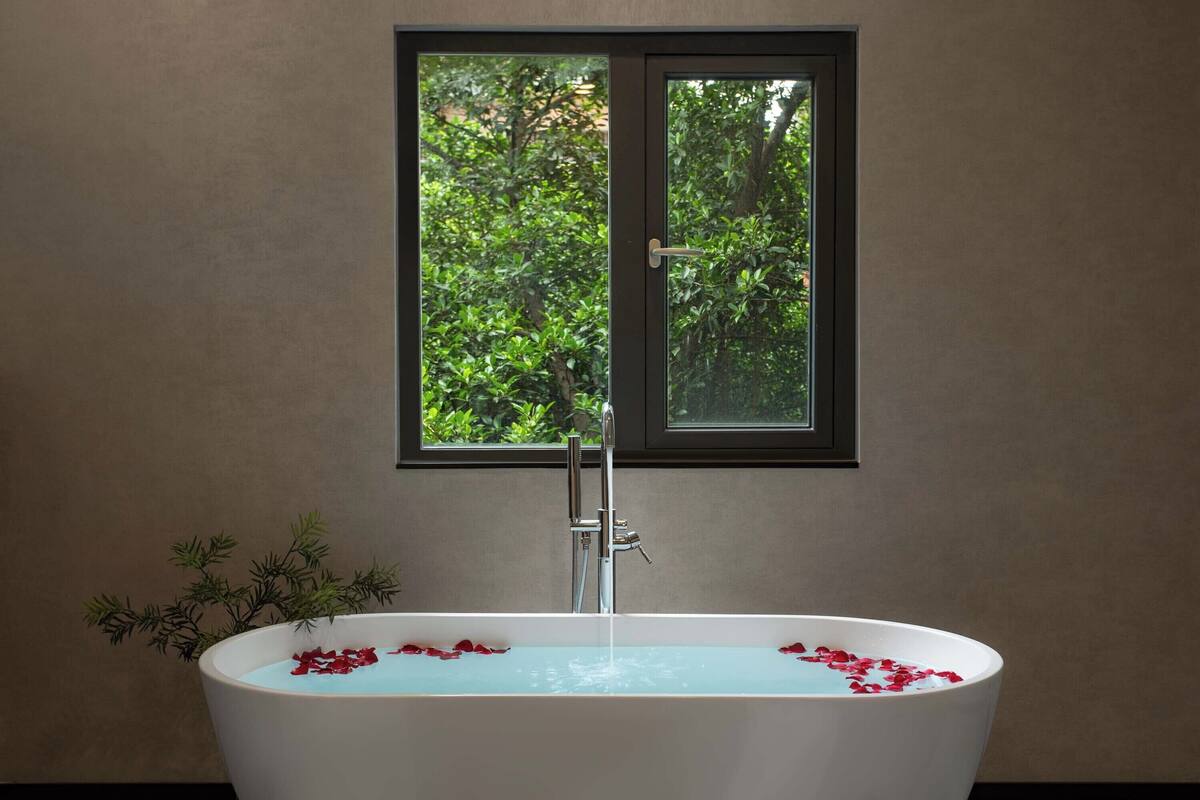 Una bañera con pétalos de rosa, una ventana y una planta.
