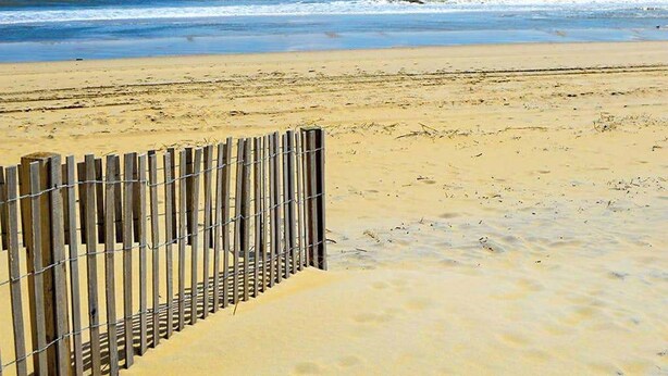 Ein sandiger Strand mit einer Holzumzäunung und freiem Blick auf das Meer.