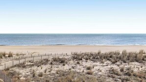Ein Strand mit einer Holzzaun und spärlicher Vegetation.