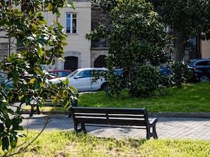 Una panchina in un parco, un albero e auto parcheggiate in una zona residenziale.
