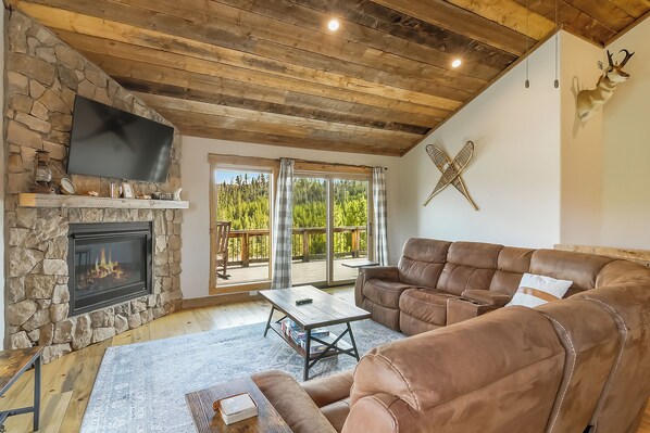 Smart TV, fireplace, books