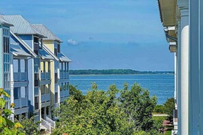 Property grounds - Large, welcoming house steps from bay w/water view, WiFi, AC, shared pool, & W/D (Ocean City)