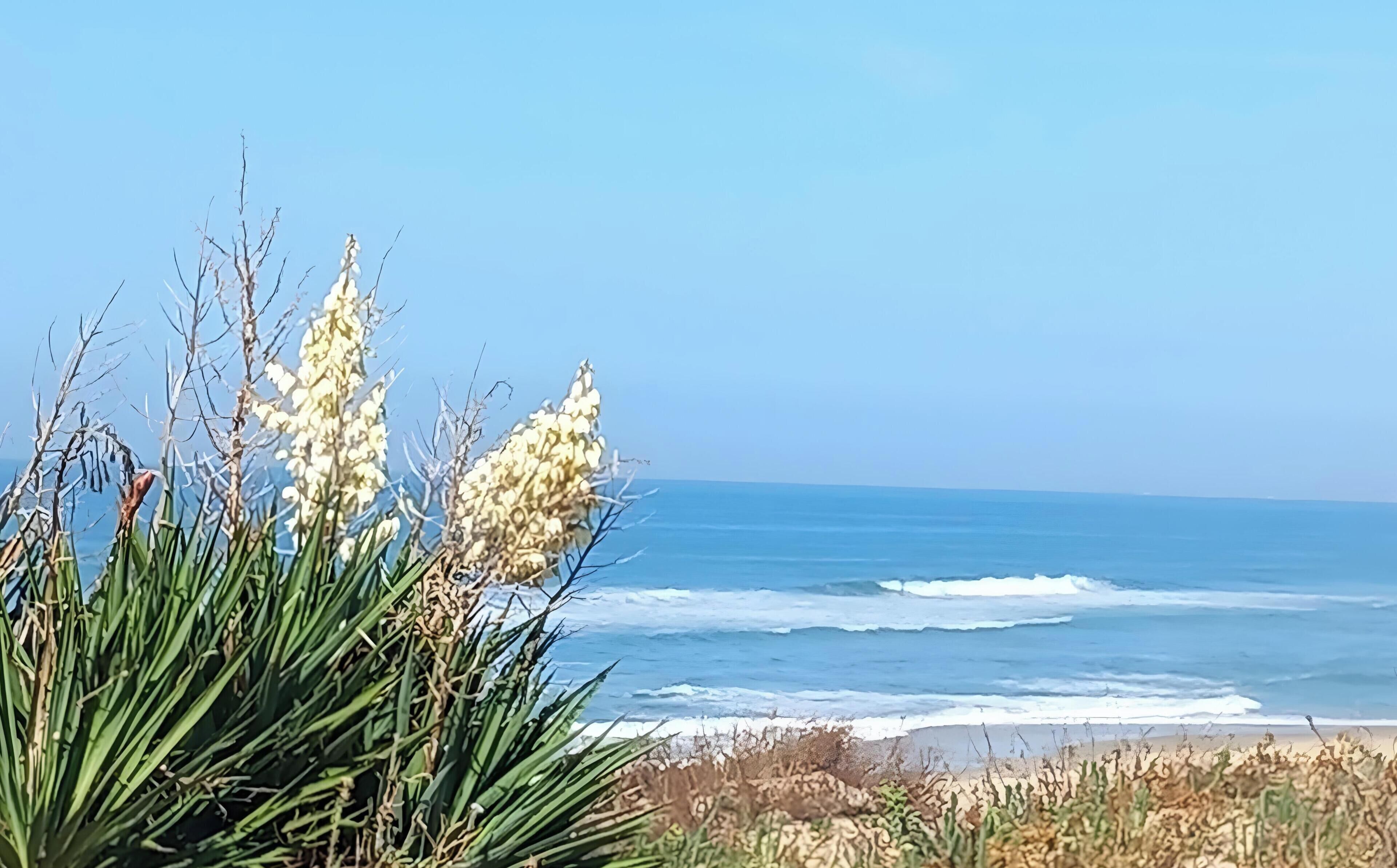 Praia