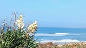 Praia