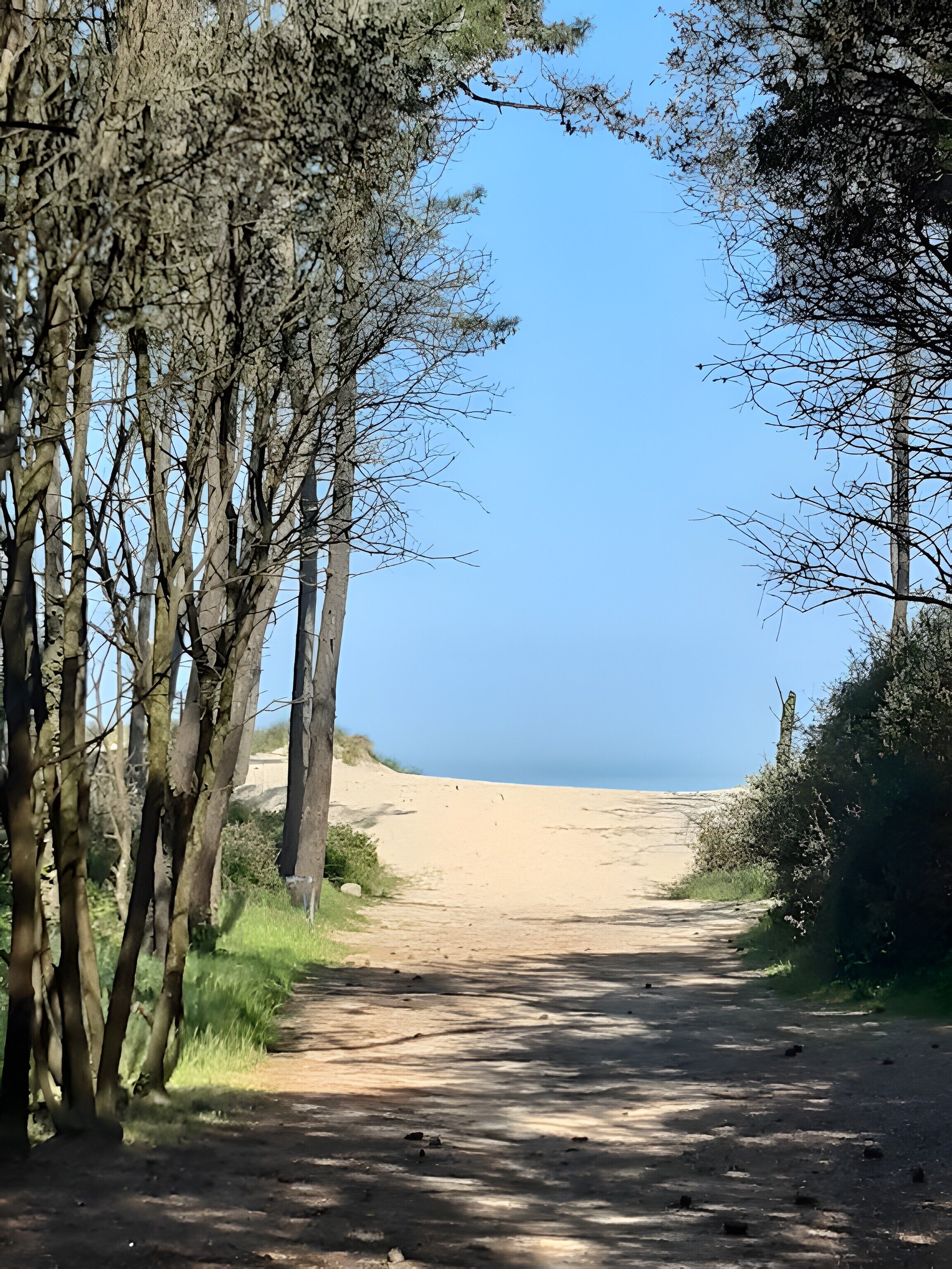 In Strandnähe