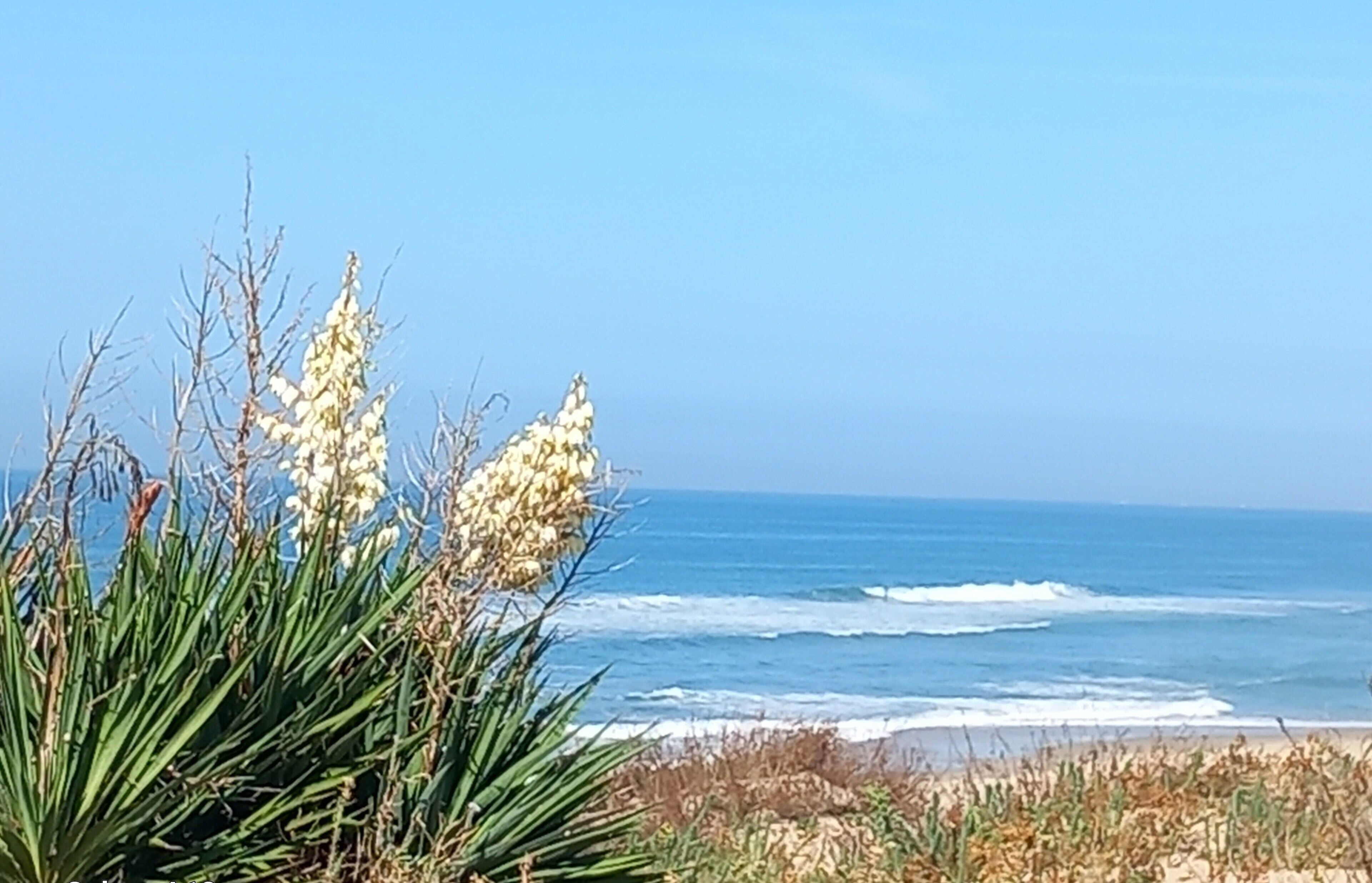 In Strandnähe