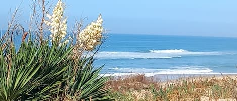 Perto da praia